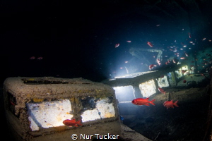 SS Thistlegorm Wreck, Red Sea, The hall carrying vans to ... by Nur Tucker 